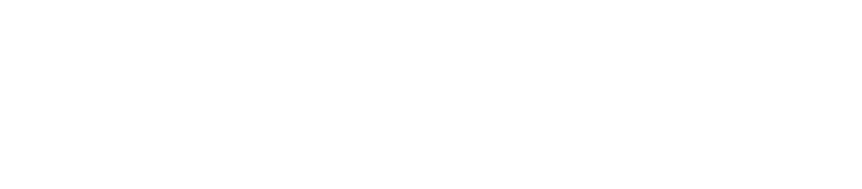 Long Island Mold Specialist Logo W