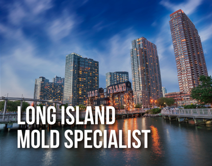 Long Island Mold Specialist Skyline