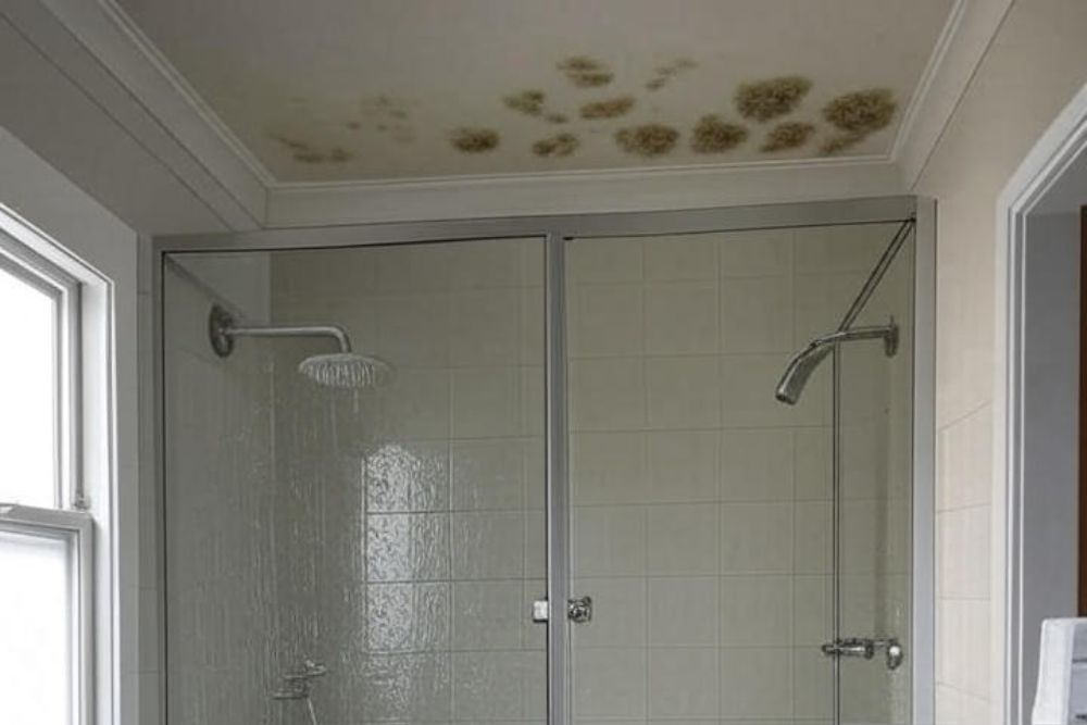 mold in bathroom