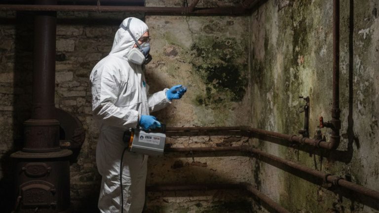Why Is Mold Testing in Long Island, NY, Essential for Older Homes?